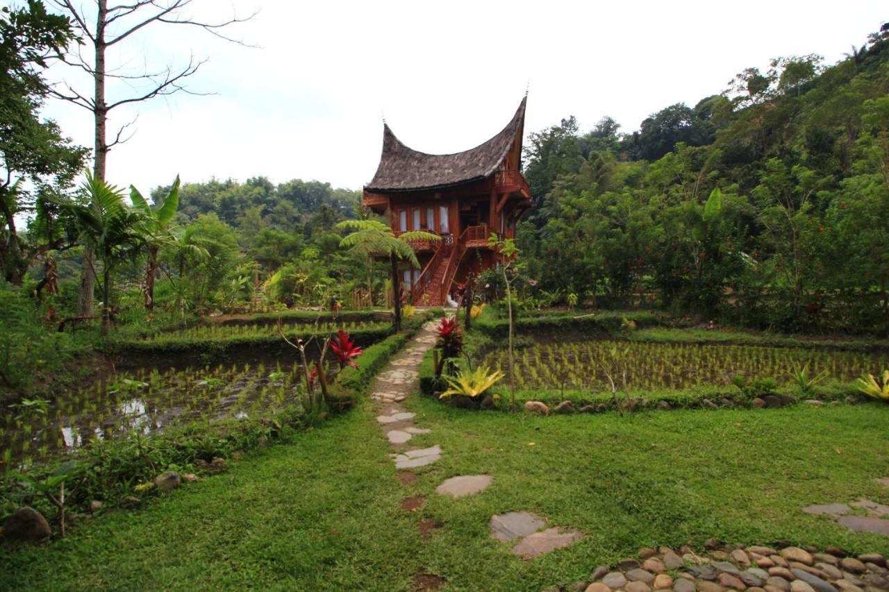 Padi Ecolodge Bukittinggi Exterior photo